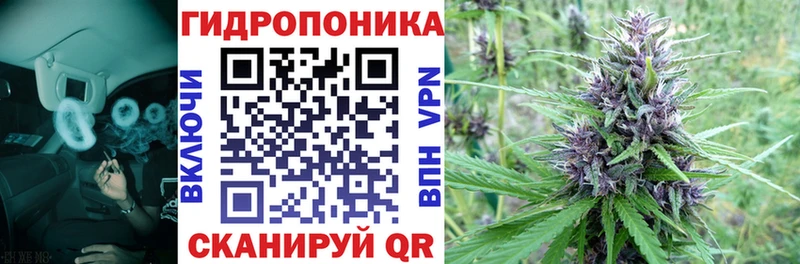 Бошки марихуана семена Краснослободск